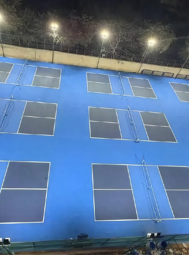 Global Sports Pickleball Centre | Gurugram